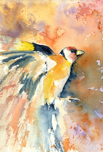 goldfinch in flight print